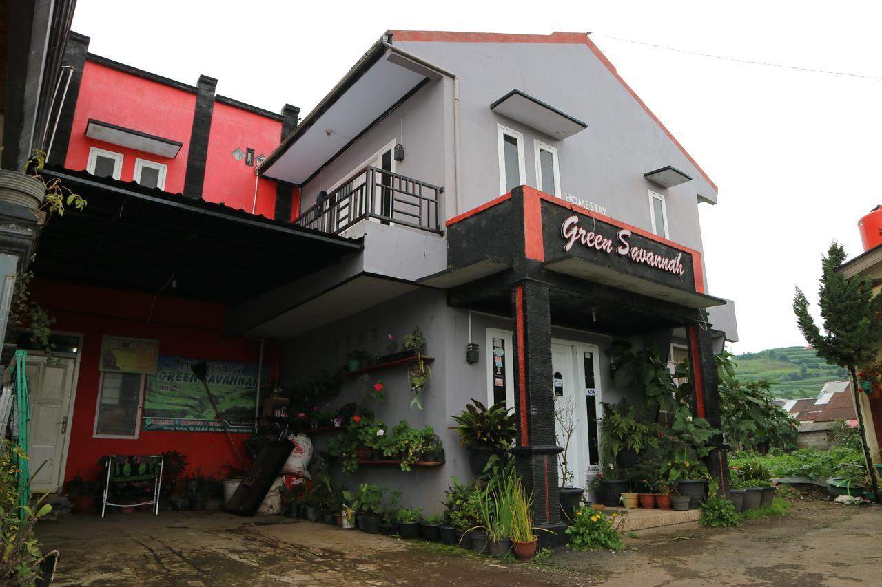 Green Savannah Homestay Syariah Diyeng Екстериор снимка